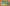 OSGS_Oberon_Placeholder_2000X1250_Holiday12_2019-2